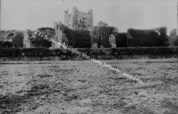 CISTERCIAN ABBEYS ALBUM  DUNBRODY ABBEY  1182  PAGE 36